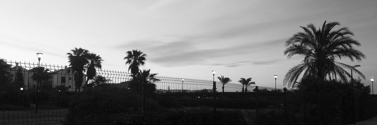 26MariaColeto's profile banner image