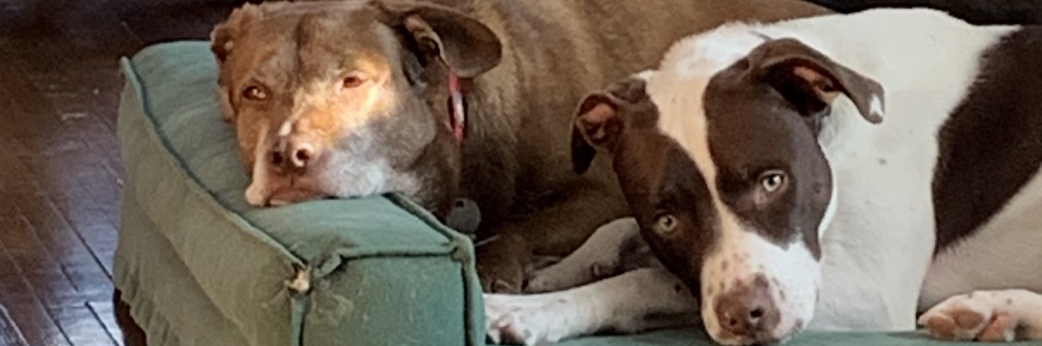 LynneinMinn's profile banner image