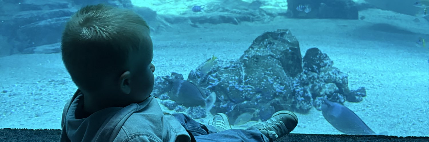 StubertL's profile banner image