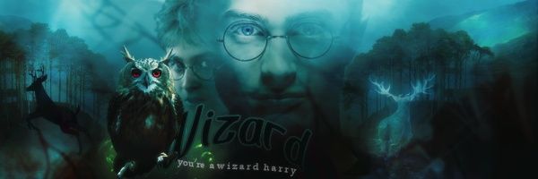 HogwartsHP2001's profile banner image