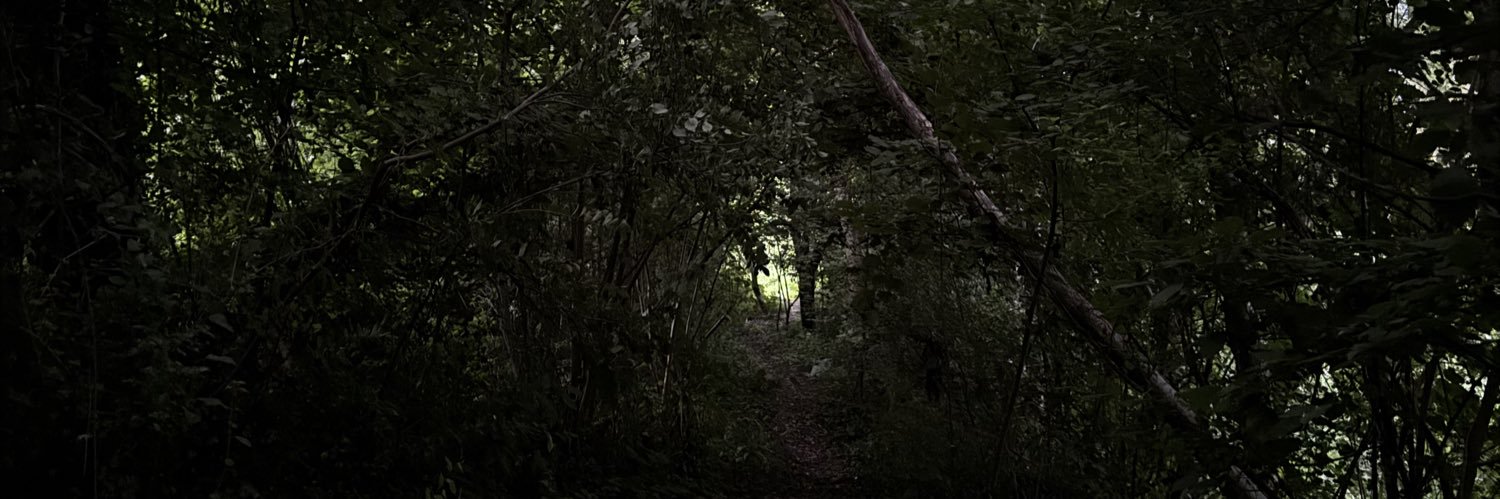 𝑨𝑴𝑶𝑼𝑹 banner