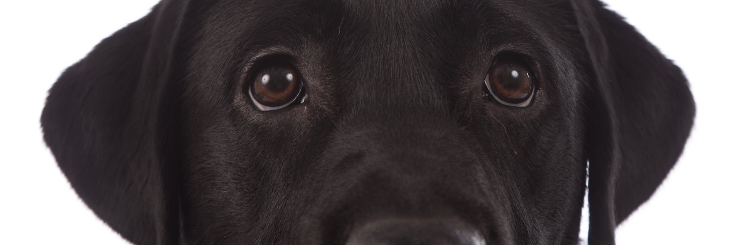 HooperWendy's profile banner image
