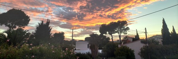 halfbob Profile Banner