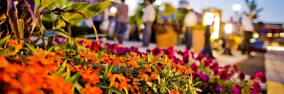 GlendaleWI's profile banner image