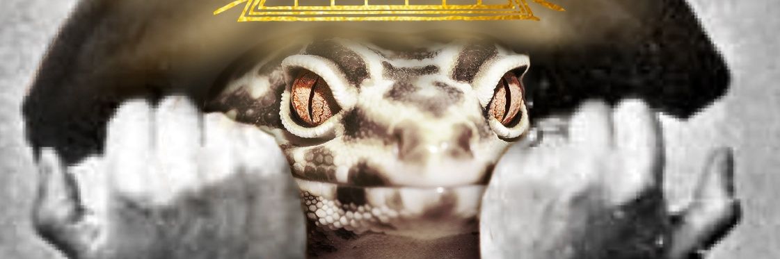 talkochoww's profile banner image