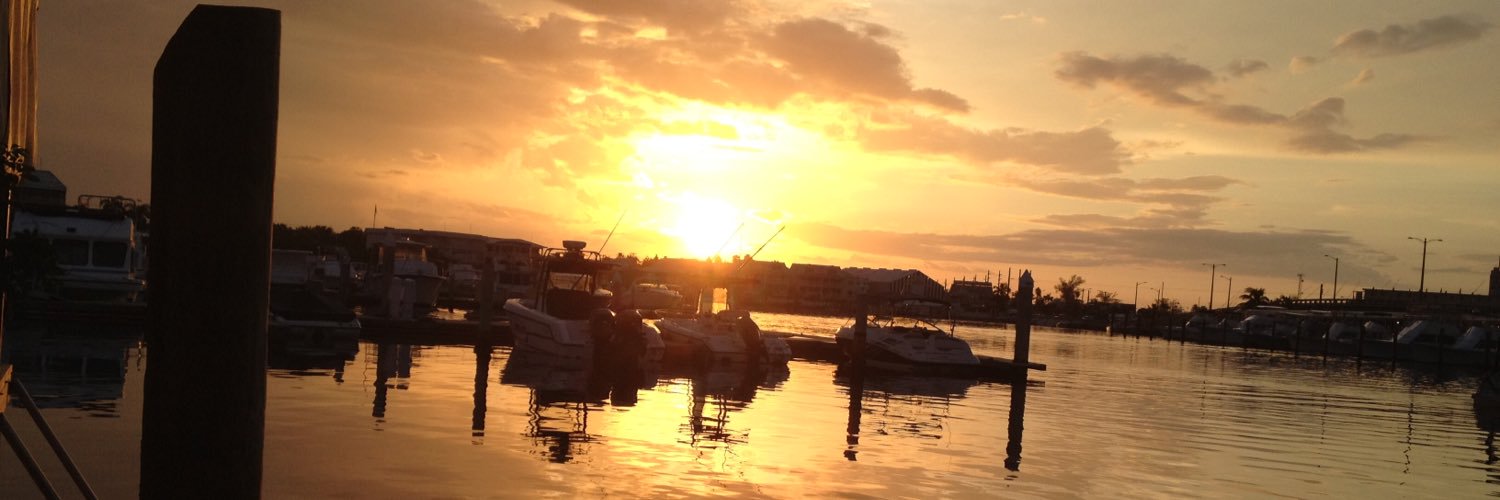 pekitos1's profile banner image