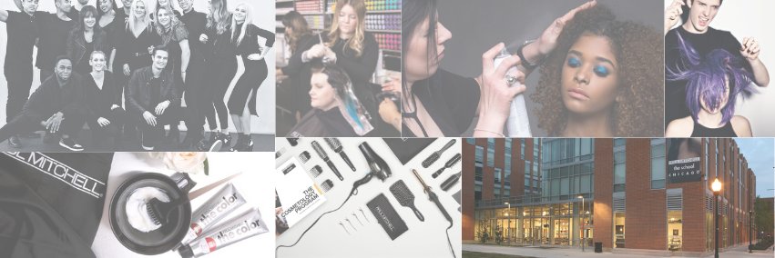PMTSCHICAGO's profile banner image