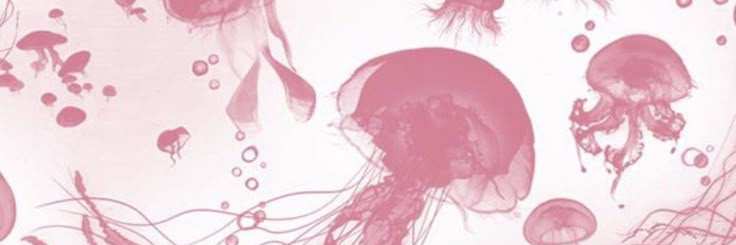 ocvgievn's profile banner image