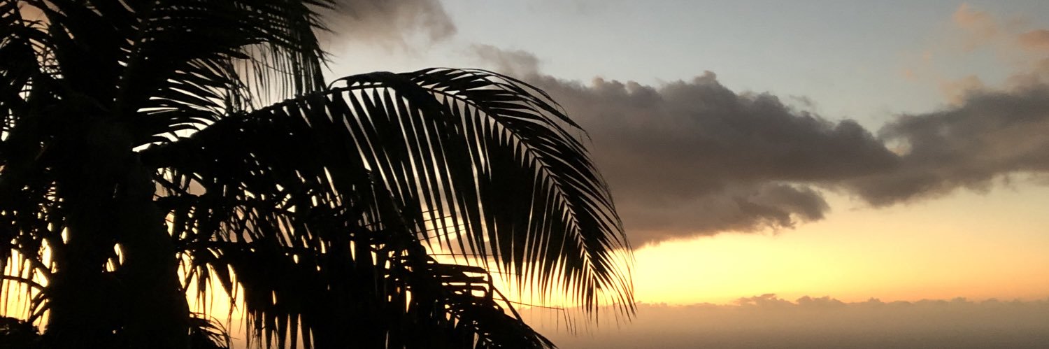 DavDav 🤷🏻‍♂️ 🇷🇪 banner