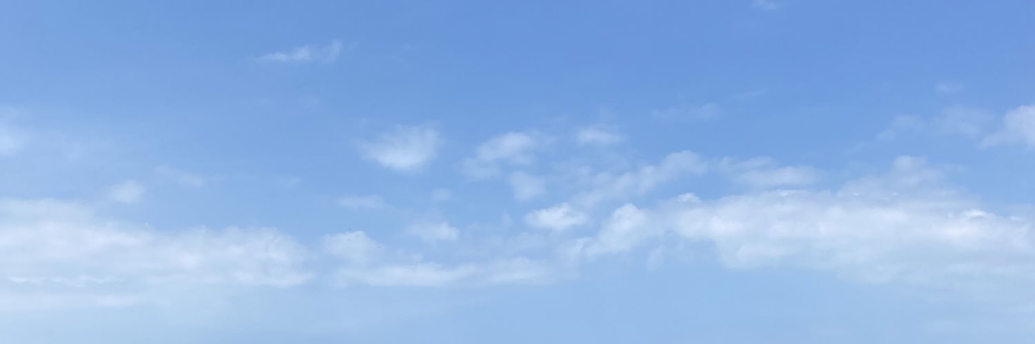 becca banner