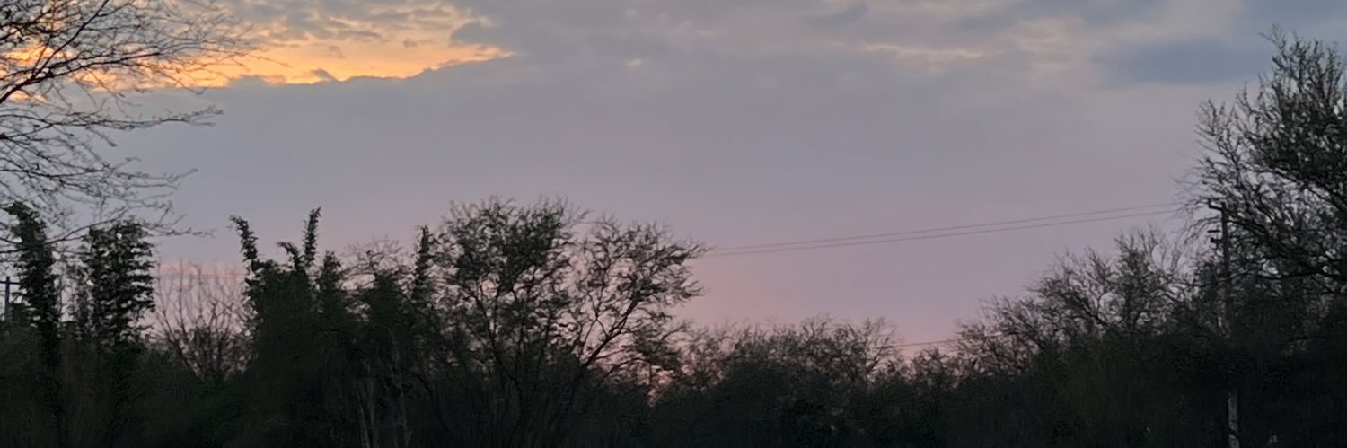 Azalia_Leal's profile banner image