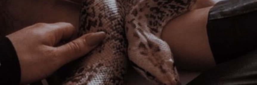lolia_4's profile banner image