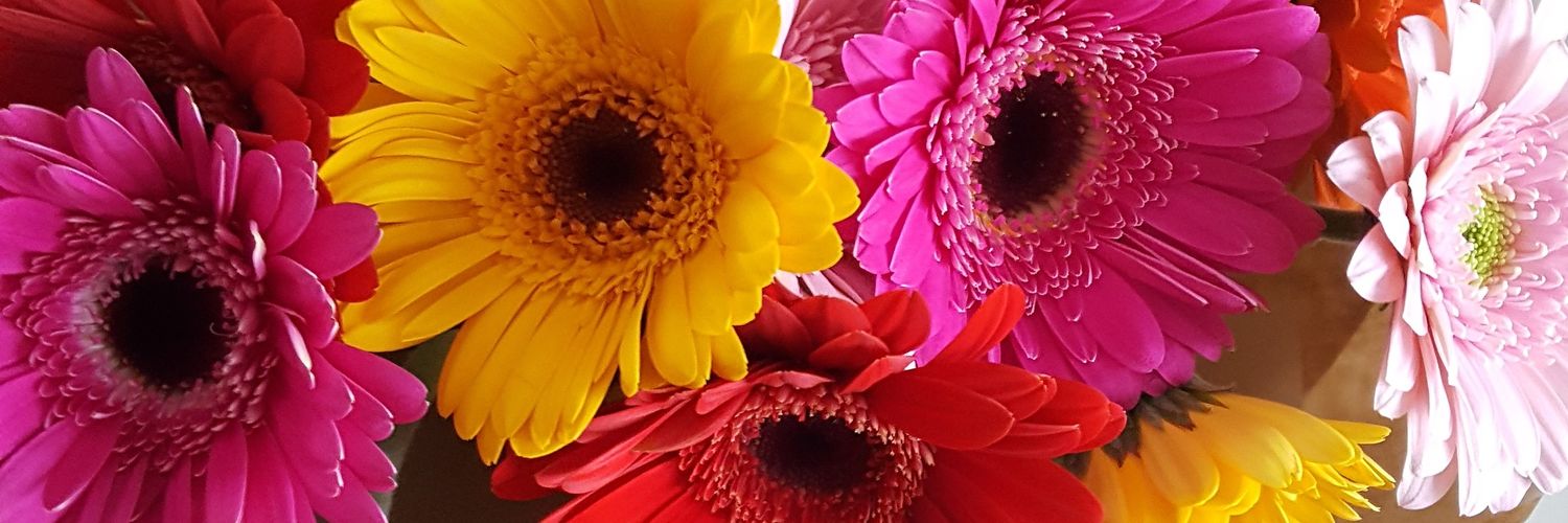BeckySharland's profile banner image