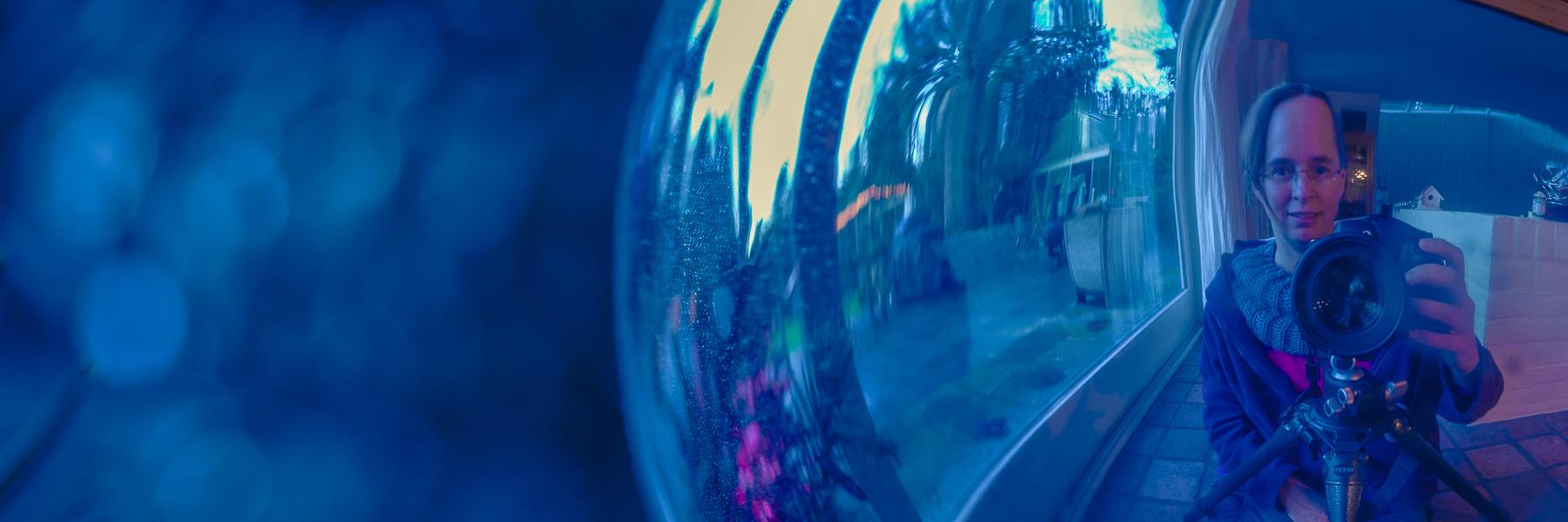 kitty_gemert's profile banner image