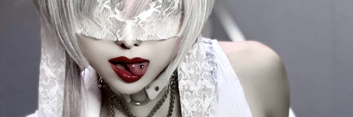 シェルミィ Gt.友我 banner