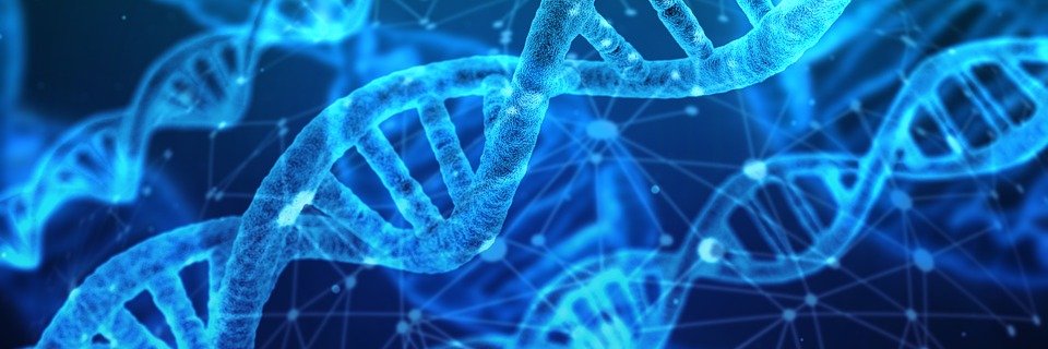 INDIEbiotech's profile banner image