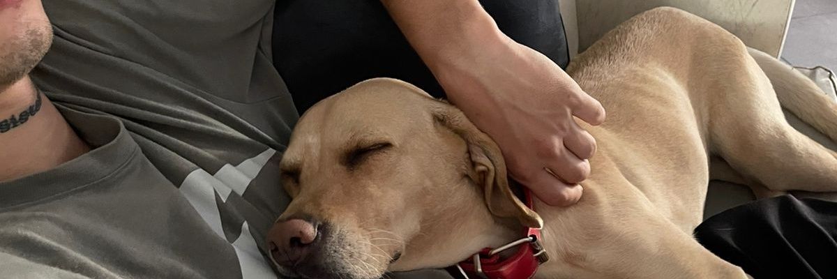 soffz_'s profile banner image