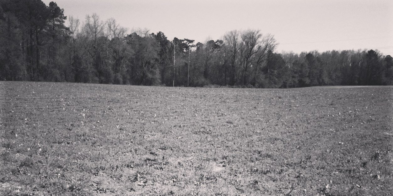 mmorris803's profile banner image