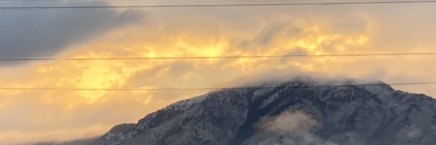 Tyler Bradford banner