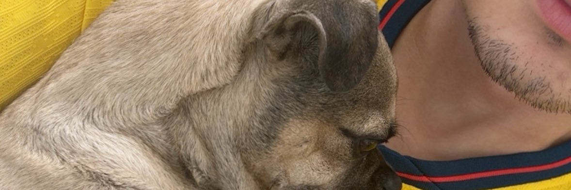 Notoriousabrahm's profile banner image