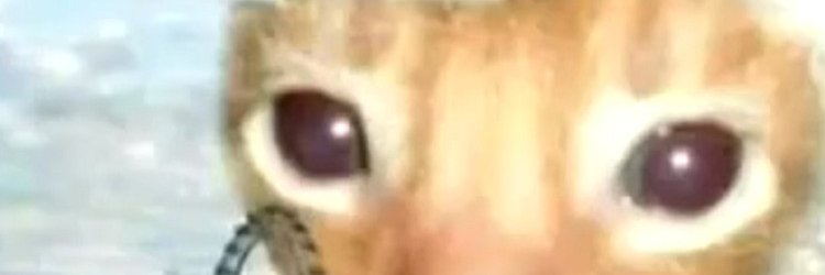 Javierkharim's profile banner image