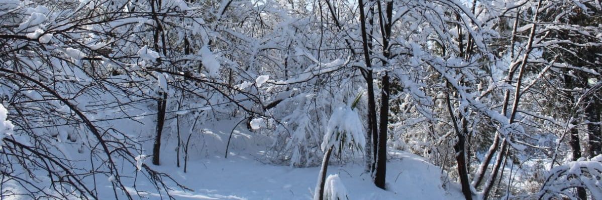 asad_piracha's profile banner image
