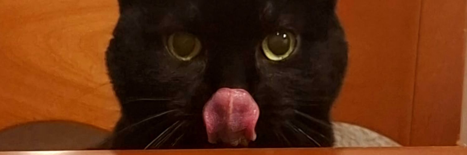 jaimitt's profile banner image