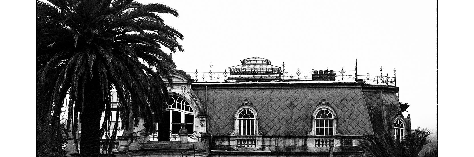 Nicolás Reyes banner