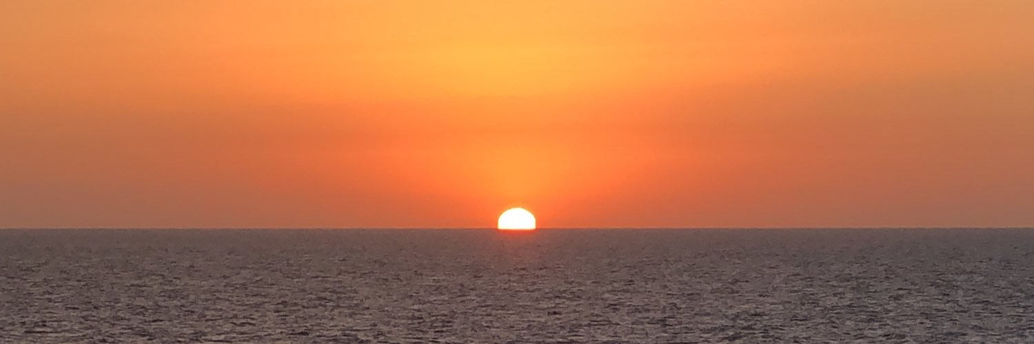 Cristina Llauradó banner