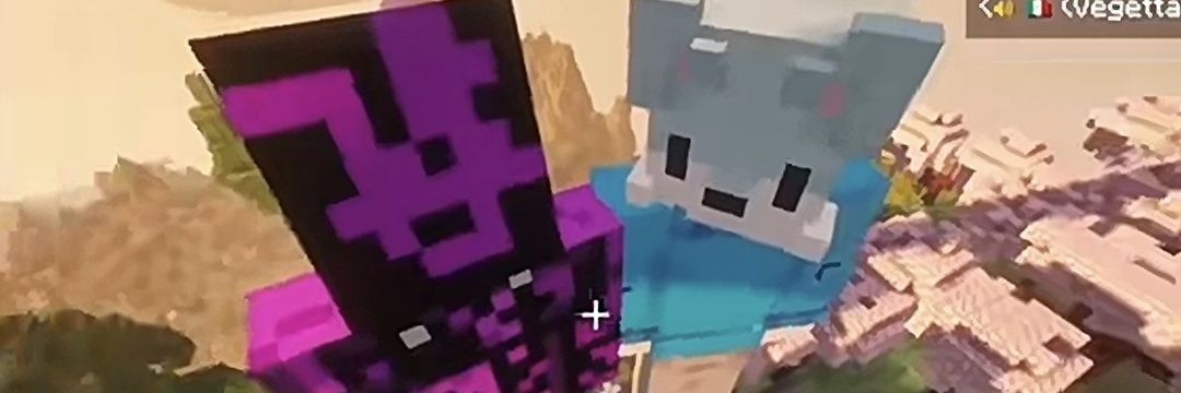 QSMP2 assassinduo 💜❤️ banner