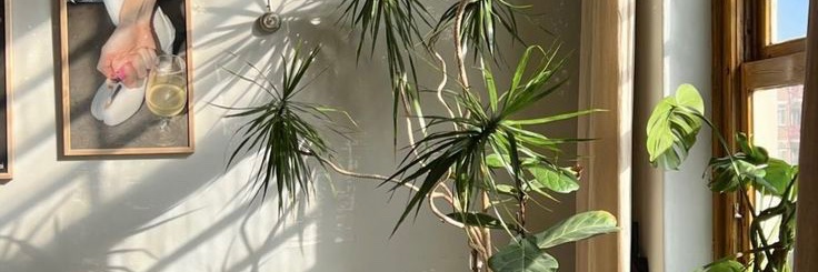 DanielAndele's profile banner image
