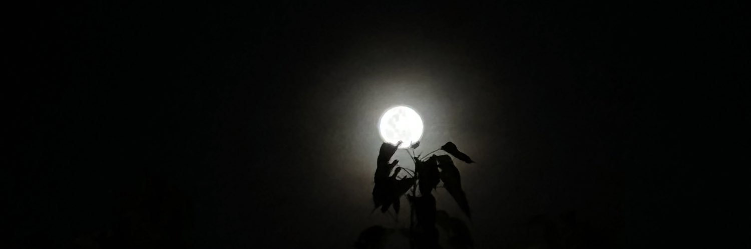 KumarRocksstar's profile banner image