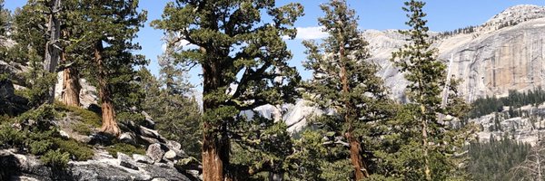 ElsaOrdway Profile Banner