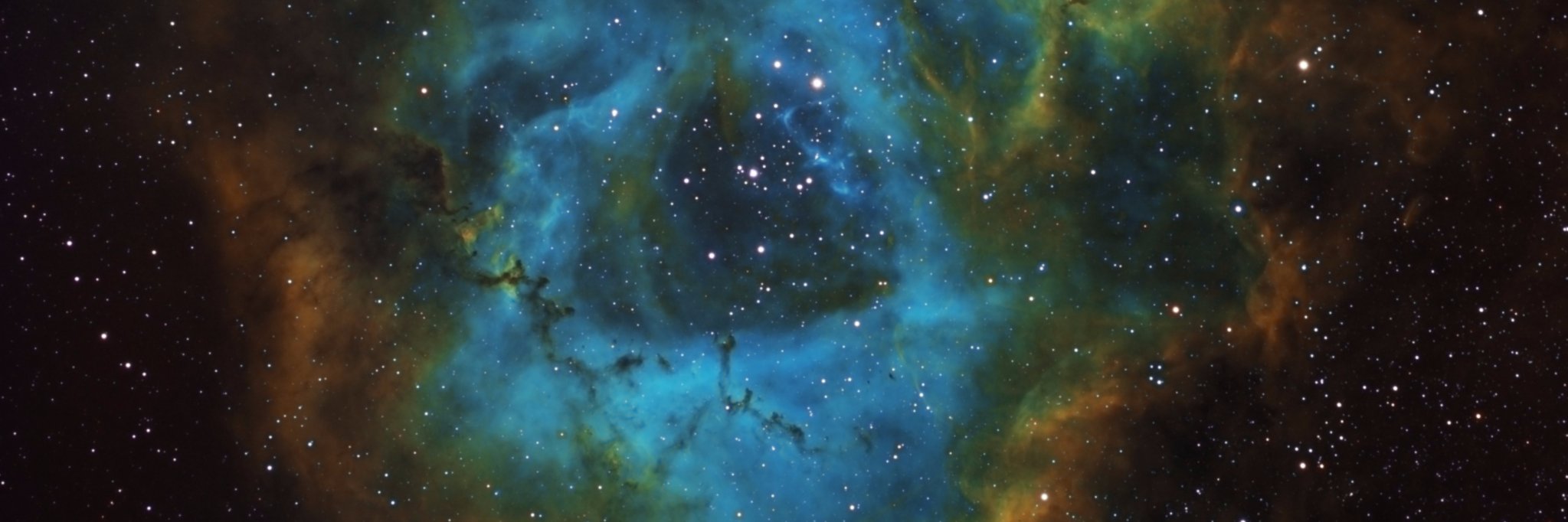 Wojciech Stisz banner