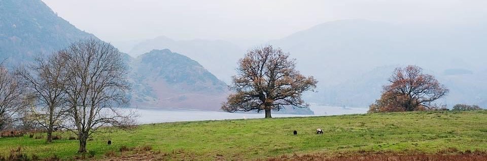 scwilder's profile banner image