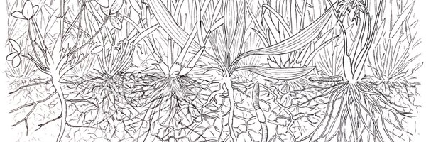 frantecol Profile Banner
