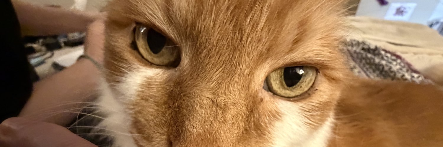 madycake's profile banner image