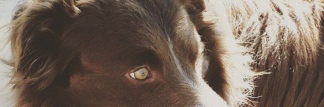 tayfletcherrr's profile banner image