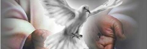 MiaFofi's profile banner image