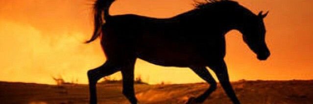 🇸🇦🇯🇴فاتن-المناصير banner