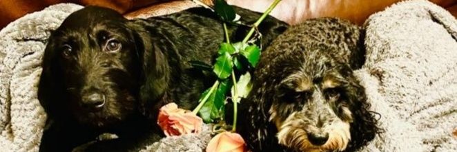 Chloejackson93's profile banner image