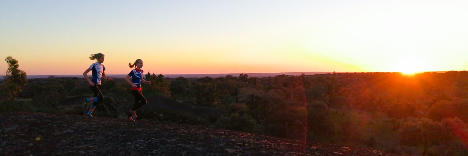 Alexandra Enlund banner