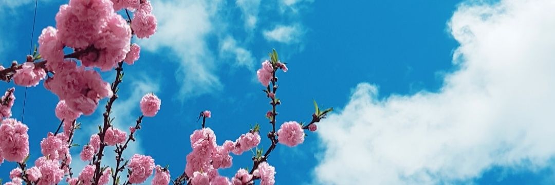mchllgg's profile banner image