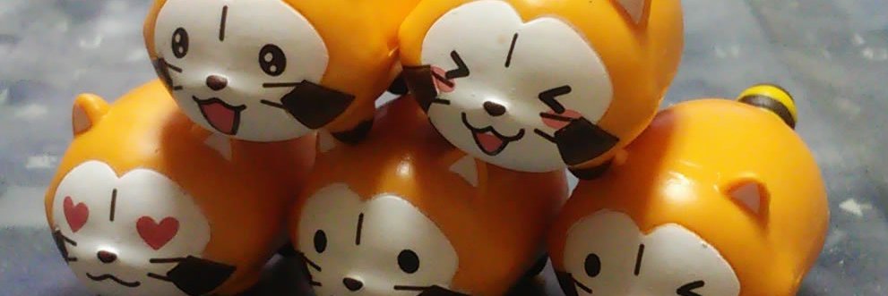 たぬちゃん🦝 banner