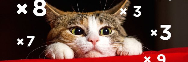 Ms. Followell banner