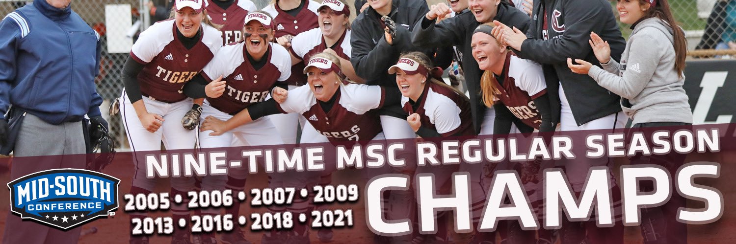 LadyTigerSoftball's banner