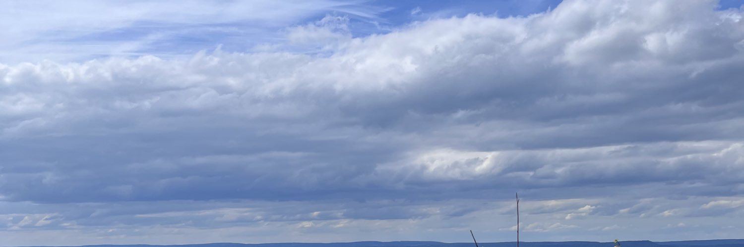 vividevinci's profile banner image