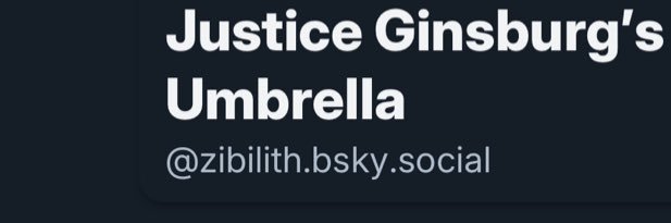 🌻Justice Ginsburg’s Umbrella banner