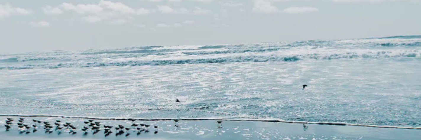 zyl_vu's profile banner image