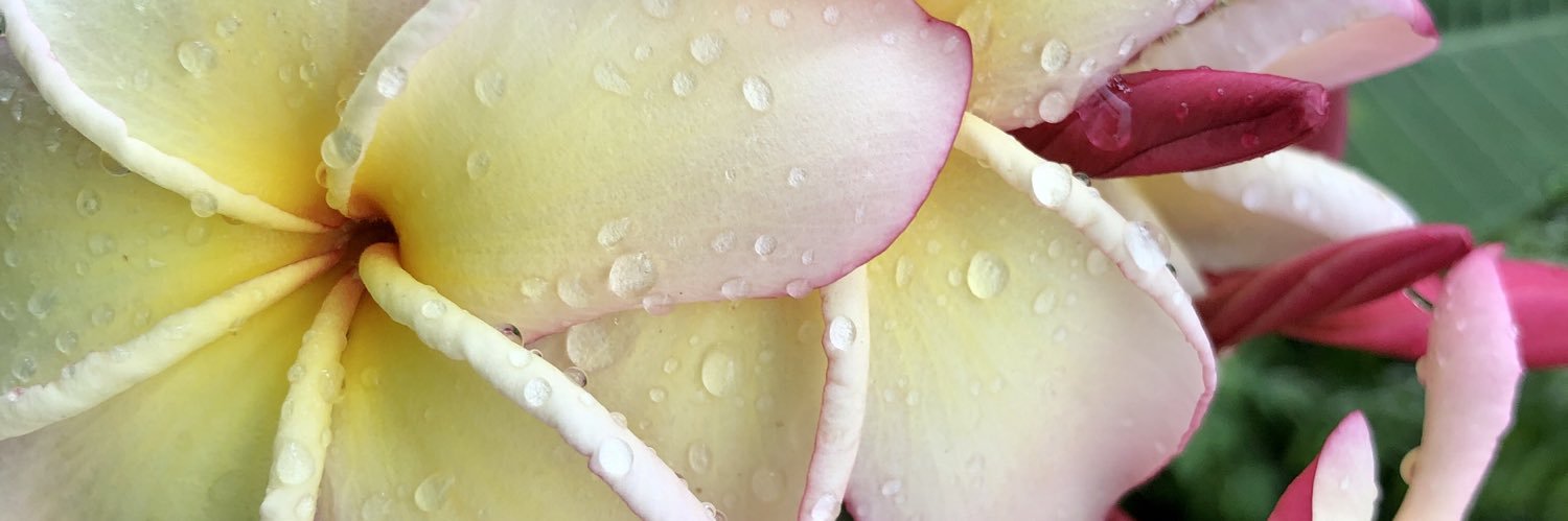 Everything is Everything ✊🏼 banner